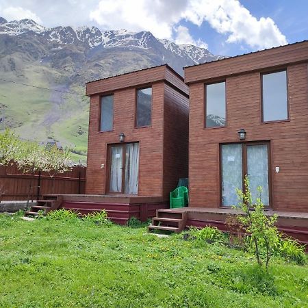 T&M Timeless Memories Apartamento Kazbegi Exterior foto
